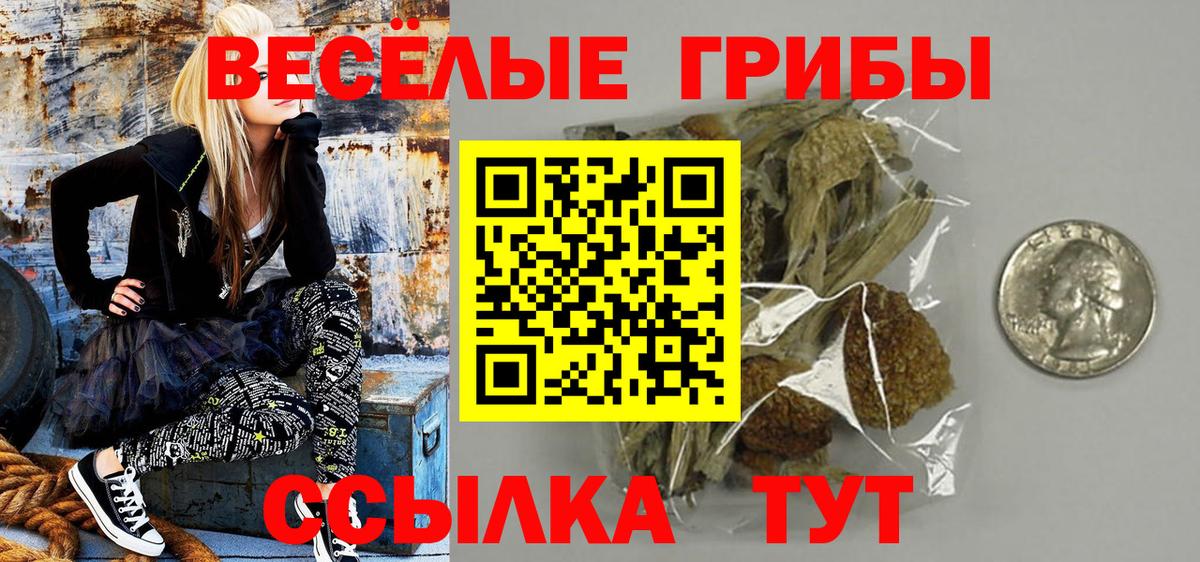 Галлюциногенные грибы Psilocybine cubensis Менделеевск